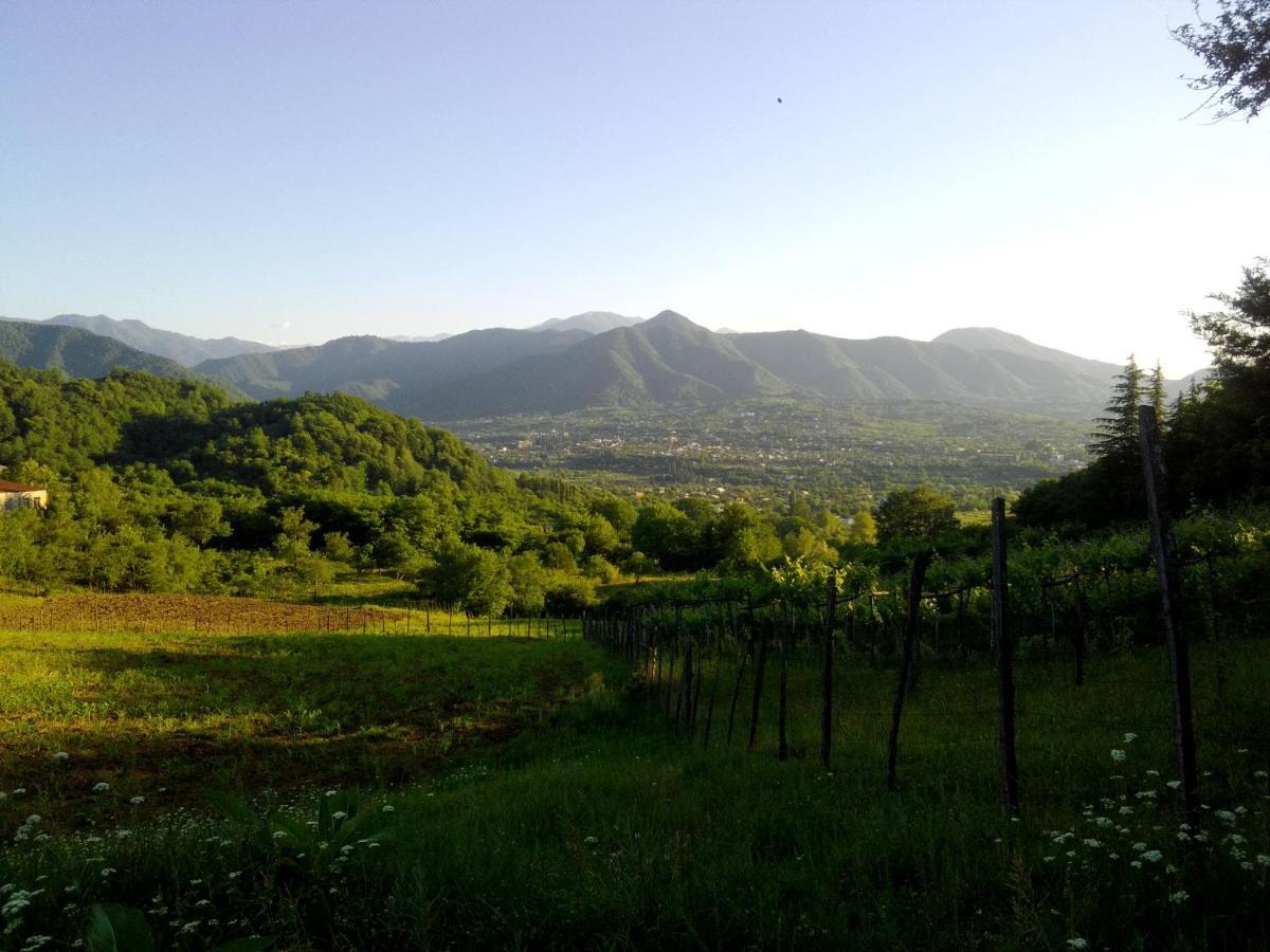 Dimis Ferdobi Hostel Bagian luar foto